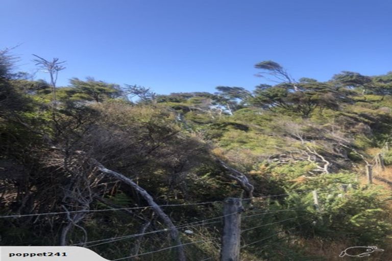 Photo of property in 31 Raglan Road, Kawhia, 3878