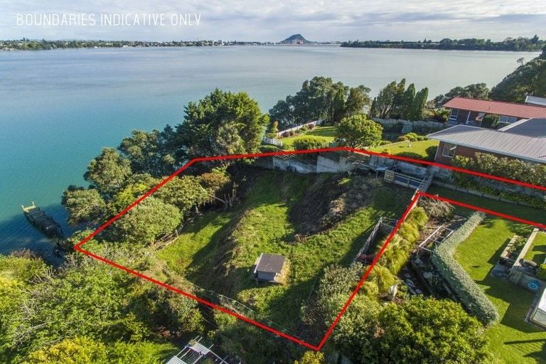 Photo of property in 340b Maungatapu Road, Maungatapu, Tauranga, 3112