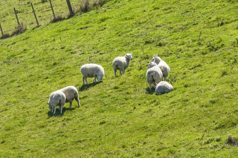 Photo of property in 190 Copples Road, Sefton, Rangiora, 7477