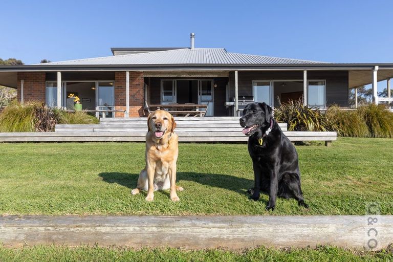 Photo of property in 457 Kiwitahi Road, Helensville, 0875