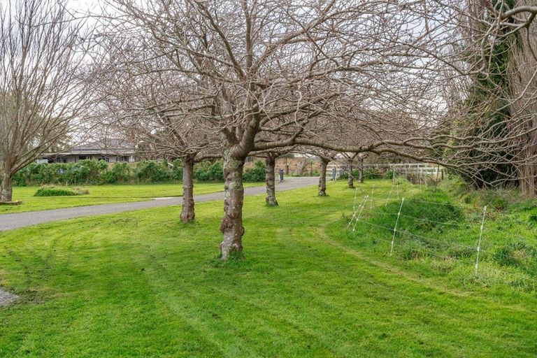 Photo of property in 137 Kent Street, Carterton, 5713