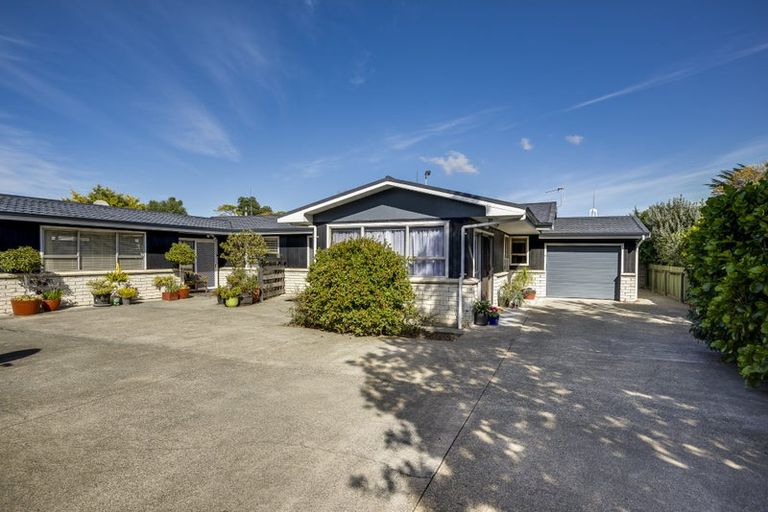 Photo of property in 48a Vigor Brown Street, Napier South, Napier, 4110