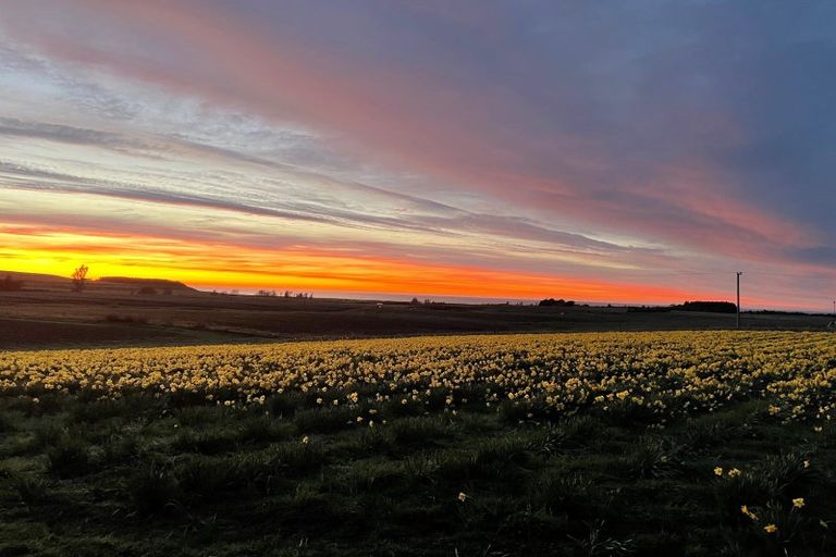 Photo of property in 49 Webbs Road, Amberley, 7481