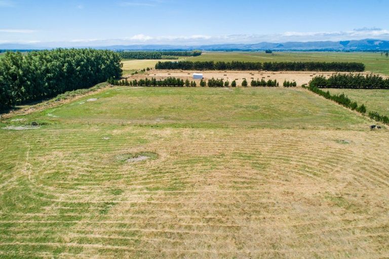 Photo of property in 269 Hoihere Road, Tiakitahuna, Palmerston North, 4477