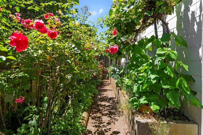 Photo of property in 349 Old Taupo Road, Springfield, Rotorua, 3015