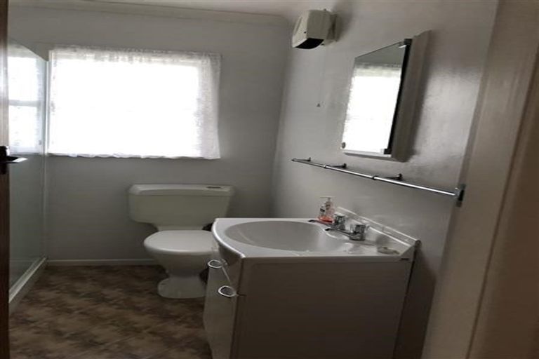 Photo of property in 53 Bath Street, Levin, 5510