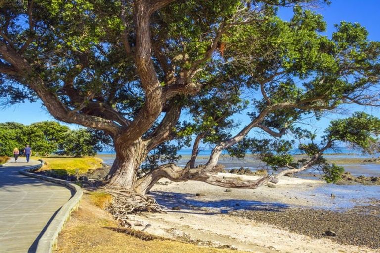 Photo of property in 6 Te Rau Way, Clevedon, 2582