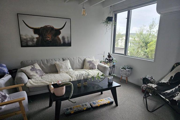 Photo of property in 383 Adelaide Road, Newtown, Wellington, 6021