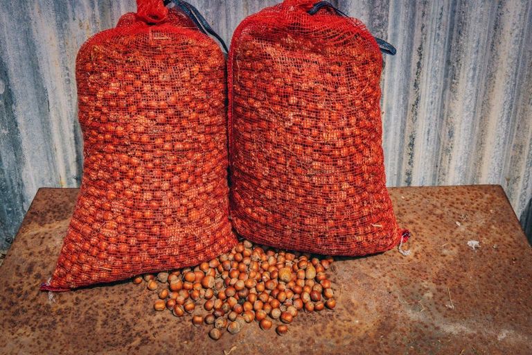 Photo of property in 190 Amberley Beach Road, Amberley, 7481