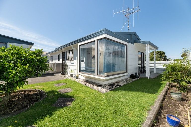 Photo of property in 25b Hayes Avenue, Gate Pa, Tauranga, 3112