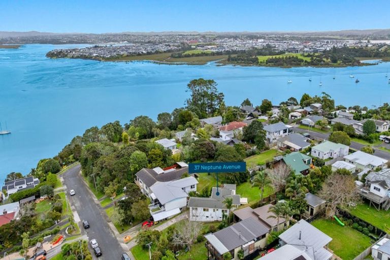 Photo of property in 37 Neptune Avenue, Beach Haven, Auckland, 0626