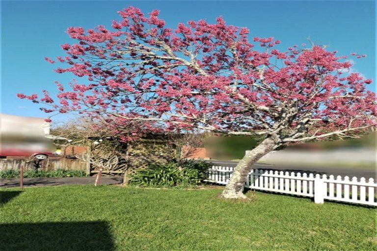 Photo of property in 11 Darlington Street, Ngatea, 3503