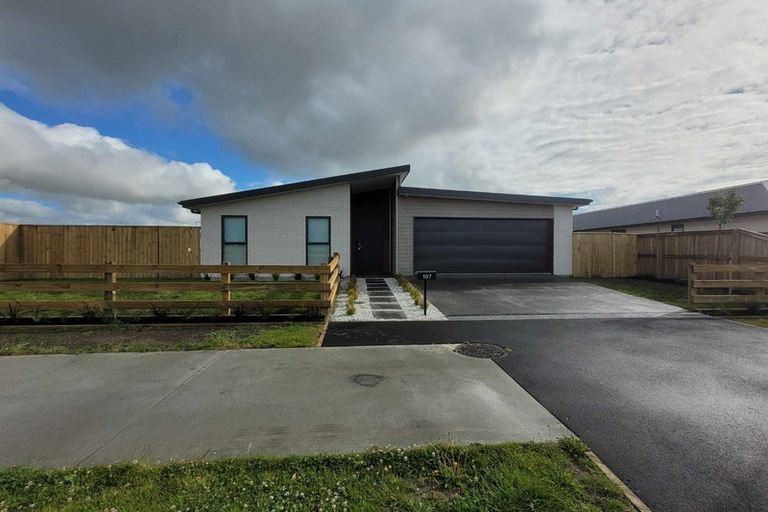 Photo of property in 107 Edward Street, Lincoln, 7608