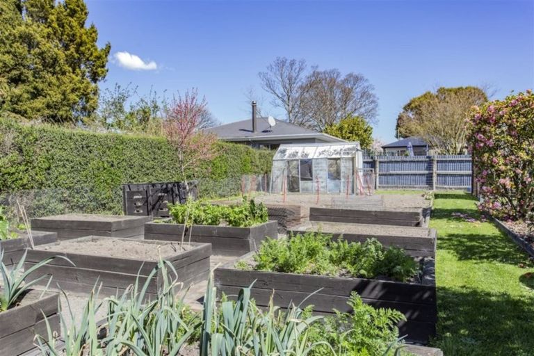 Photo of property in 214 Williams Street, Kaiapoi, 7630