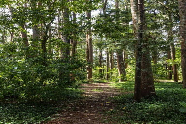 Photo of property in 1174 Kahikatea Flat Road, Waitoki, Kaukapakapa, 0871