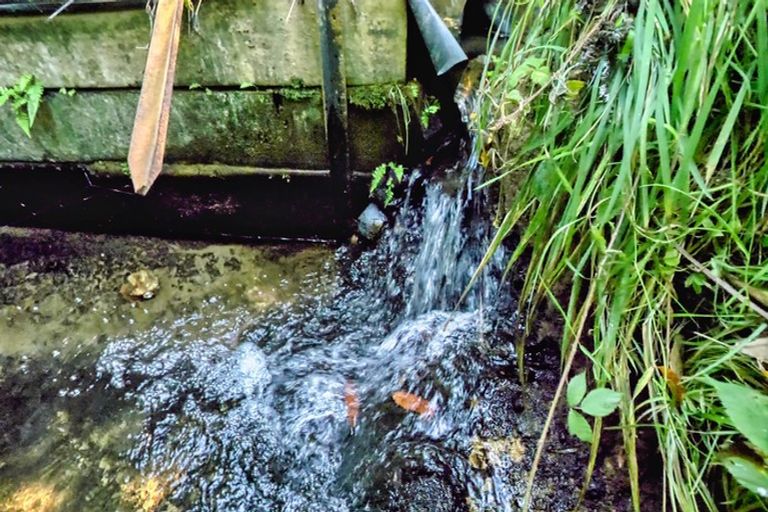 Photo of property in 427 Soldiers Road, Lower Kaimai, Tauranga, 3171