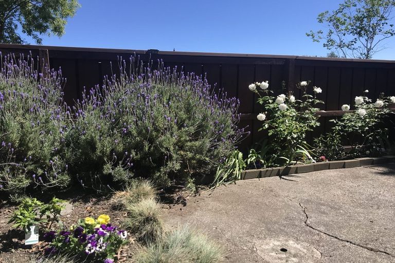 Photo of property in 1/22 Browning Street, Sydenham, Christchurch, 8023