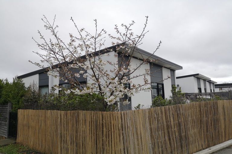 Photo of property in 22 League Lane, Phillipstown, Christchurch, 8011
