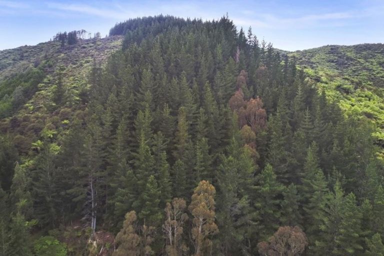 Photo of property in 284 Moores Valley Road, Wainuiomata, 5373