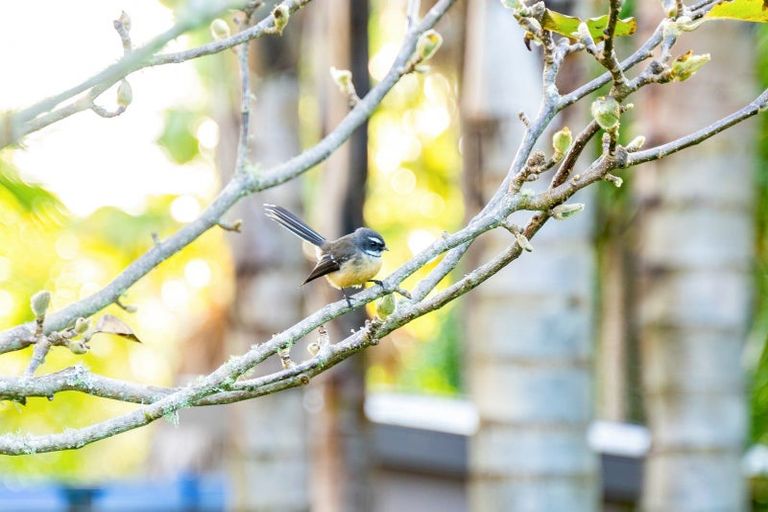 Photo of property in 82 Springs Road, Poroti, Whangarei, 0179