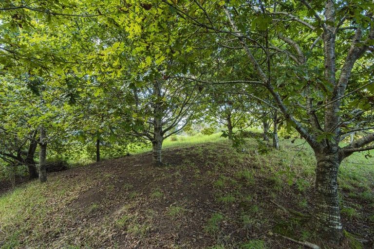 Photo of property in 65 Rushbrook Road, Ruatangata West, Kamo, 0185