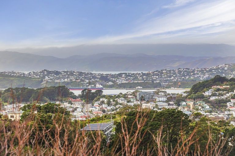 Photo of property in 7/25 Mana Street, Vogeltown, Wellington, 6021