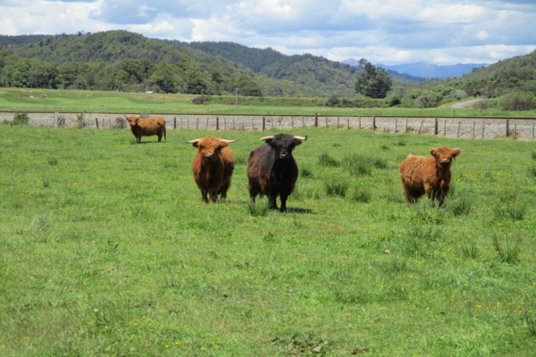 Photo of property in 59 Matai Road, Ngahere, Dobson, 7872