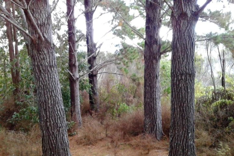 Photo of property in 1224 Paponga Road, Kohukohu, 0491