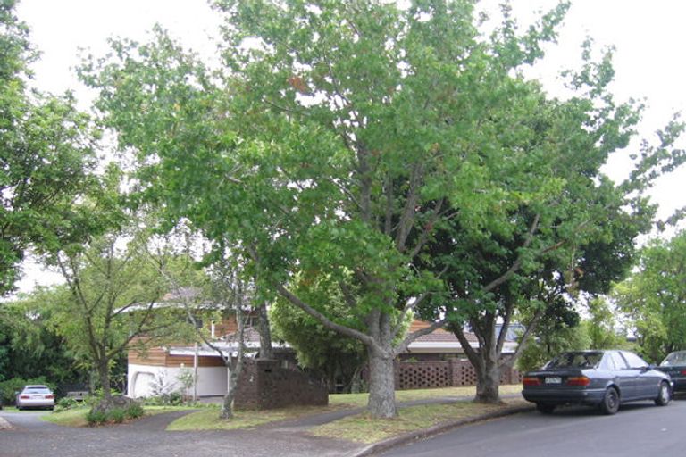 Photo of property in 52 Marywil Crescent, Hillcrest, Auckland, 0627