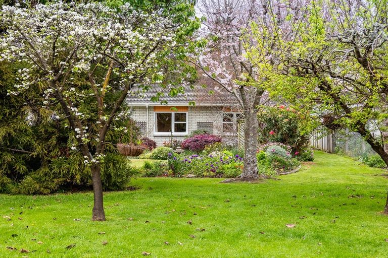 Photo of property in 249 Te Moana Road, Waikanae, 5036