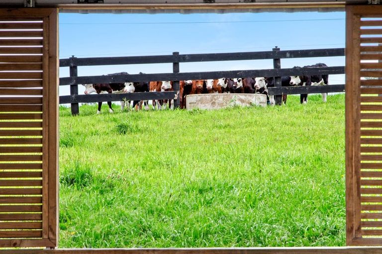 Photo of property in 15 Codlin Road, Waiuku, 2683