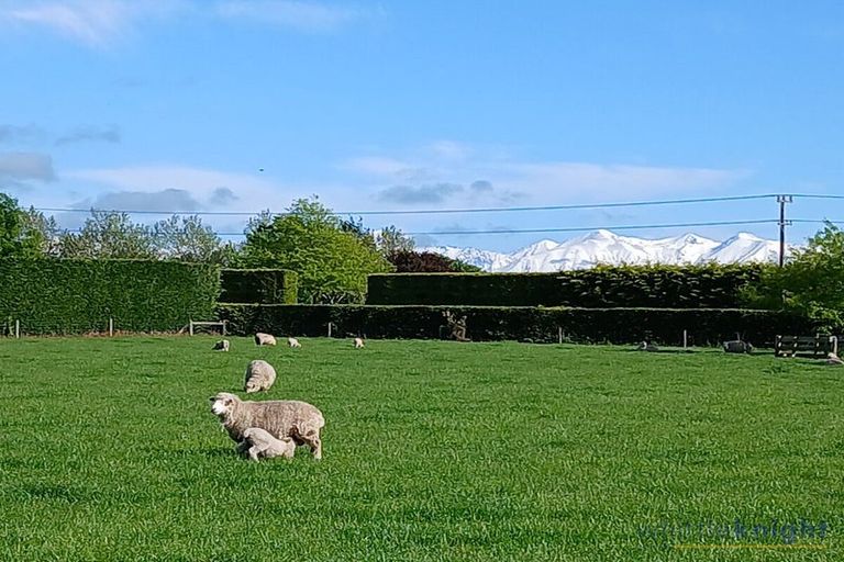 Photo of property in 550 Mclaughlins Road, Darfield, 7571