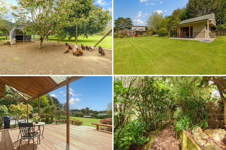 Photo of property in 6 Grammer Road, Tahawai, Katikati, 3170