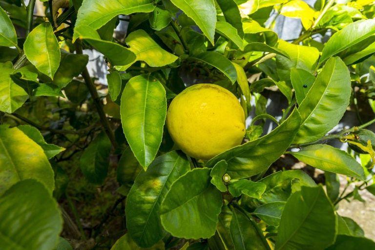 Photo of property in 801a Fergusson Drive, Elderslea, Upper Hutt, 5018