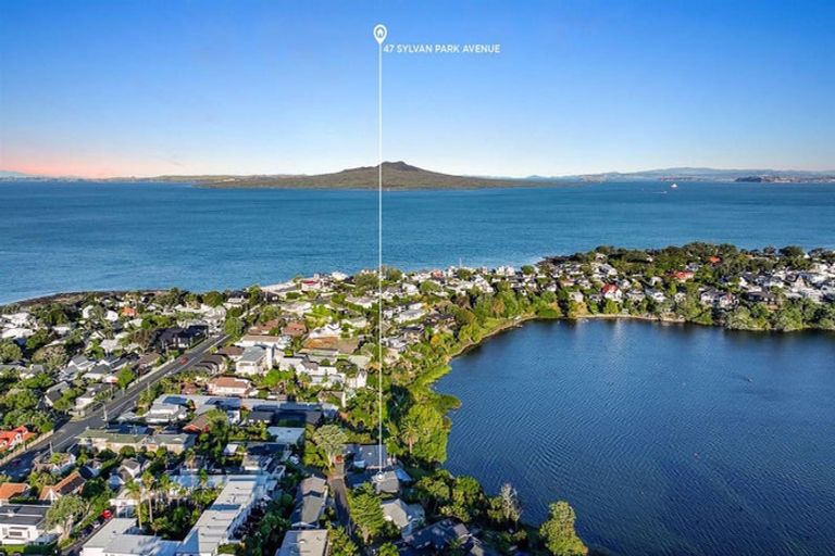 Photo of property in 47 Sylvan Park Avenue, Milford, Auckland, 0620