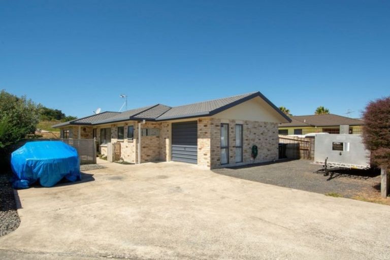 Photo of property in 41 Lisa Place, Brookfield, Tauranga, 3110