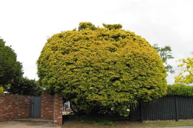 Photo of property in 5 Penhelig Place, Burnside, Christchurch, 8053