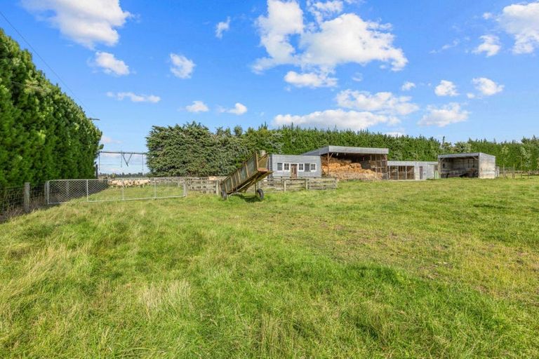 Photo of property in 146 Chatmos Road, Willowby, Ashburton, 7773