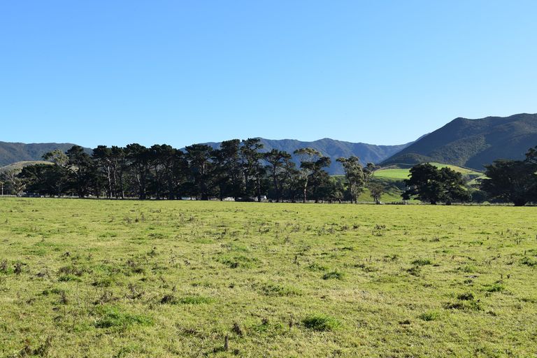 Photo of property in 523 Western Lake Road, Western Lake, 5773