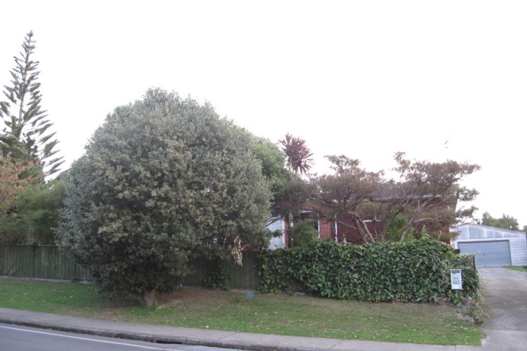 Photo of property in 84 Ruapehu Street, Paraparaumu, 5032