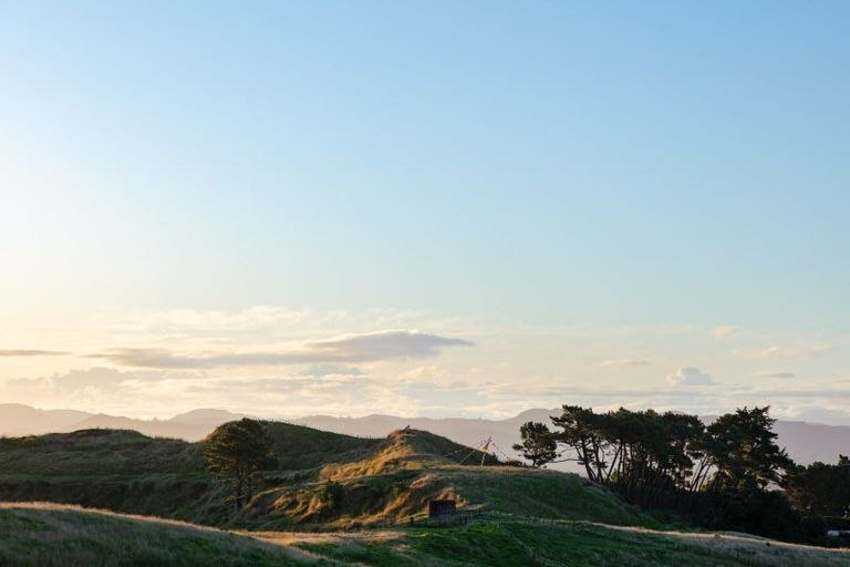 Photo of property in 611b Wainui Road, Kaiti, Gisborne, 4010