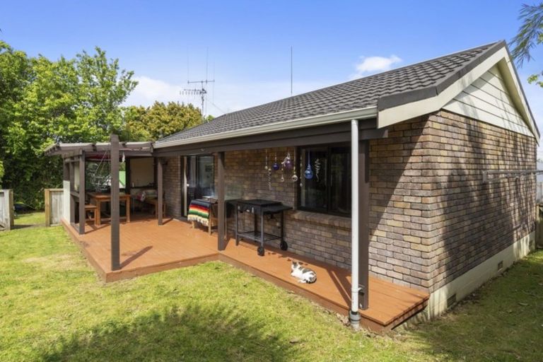 Photo of property in 42a Collingwood Street, Judea, Tauranga, 3110