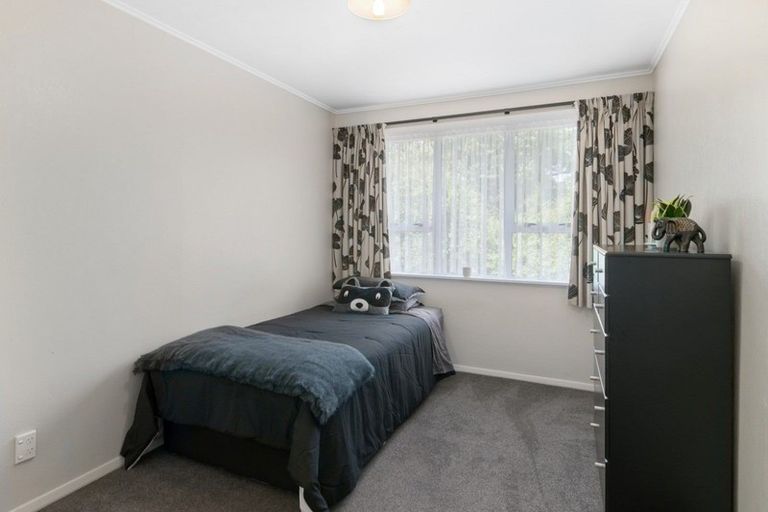 Photo of property in 151 Fairfield Road, Levin, 5510