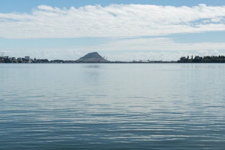 Photo of property in 202 Maungatapu Road, Maungatapu, Tauranga, 3112