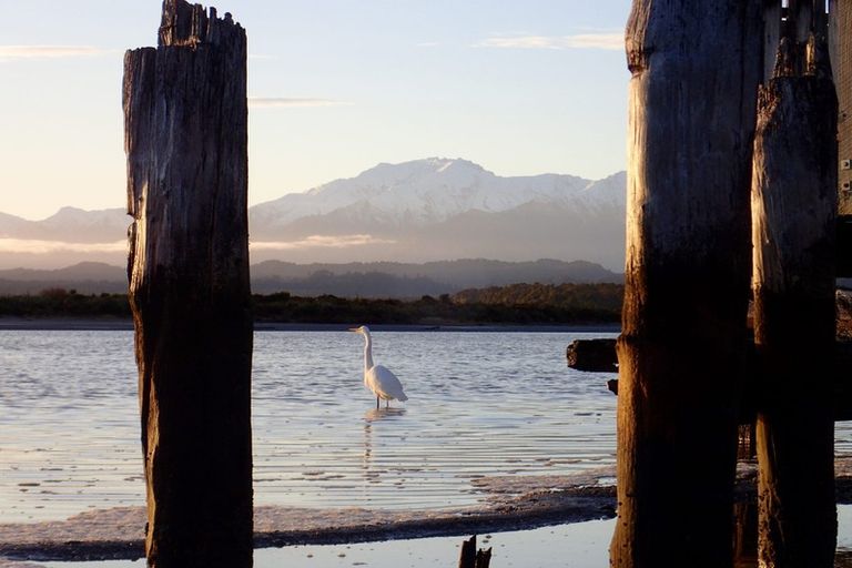 Photo of property in 3 The Strand, Okarito, Whataroa, 7886