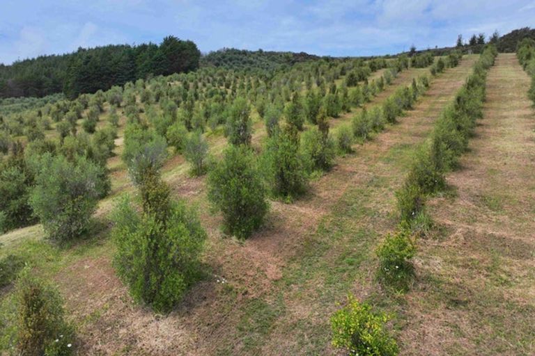 Photo of property in 105 Frantoio Ridge Road, Mangonui, 0494