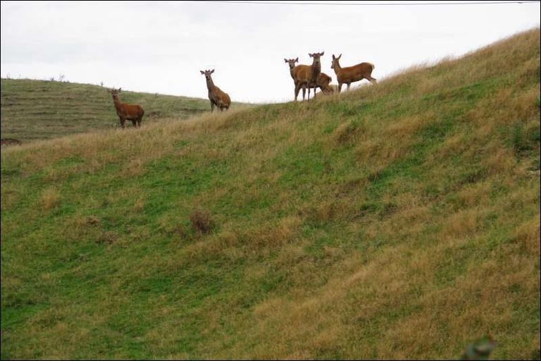 Photo of property in 78 Tuhingamata Road, Oruanui, Taupo, 3384