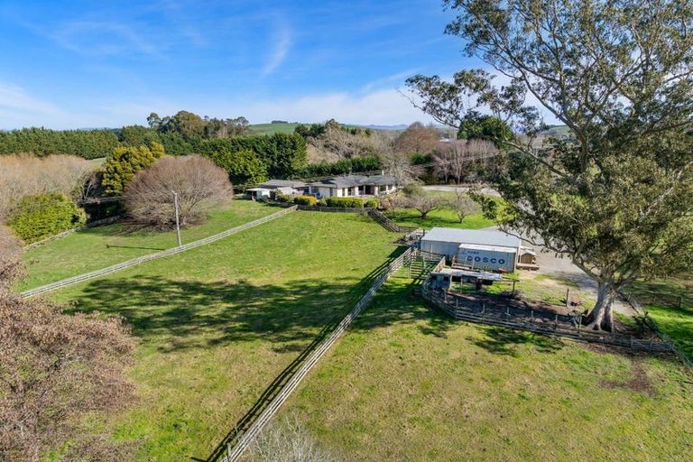 Photo of property in 297 Homestead Road, Weston, Oamaru, 9491