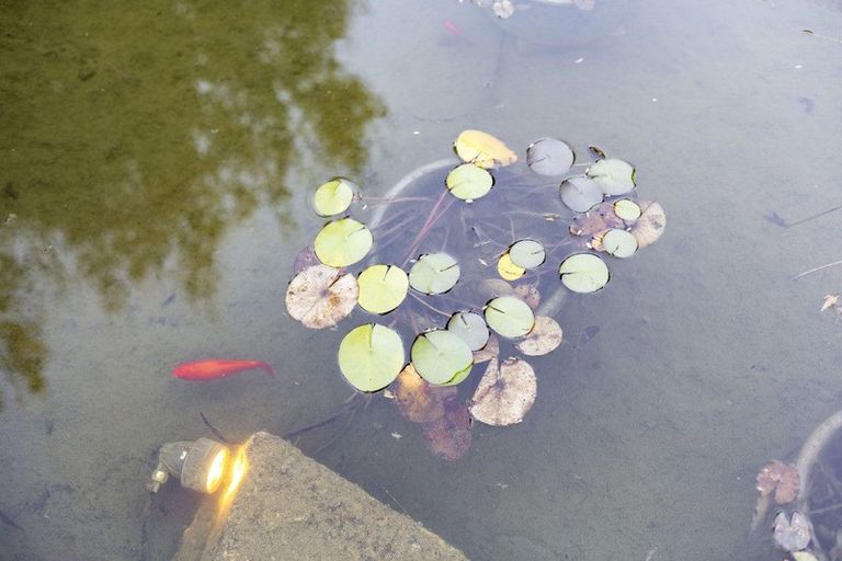 Photo of property in 86 Marine Parade, Mellons Bay, Auckland, 2014