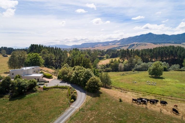 Photo of property in 3786 State Highway 29, Te Poi, Matamata, 3473